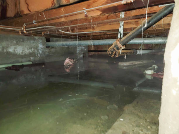 Best Ceiling water damage repair  in Guthrie Center, IA