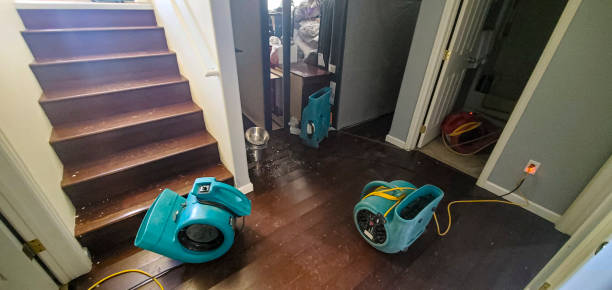 Best Water damage cleanup near me  in Guthrie Center, IA