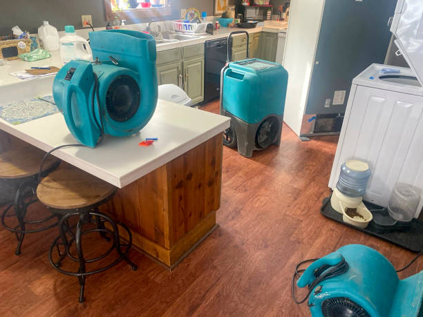 Best 24/7 water damage repair  in Guthrie Center, IA