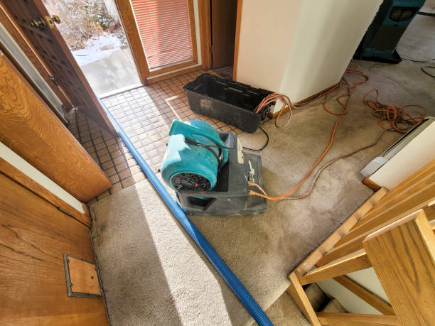 Best Flood restoration services  in Guthrie Center, IA