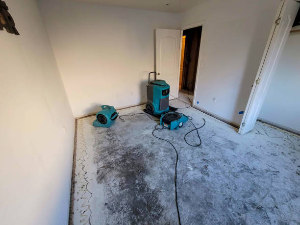 Best 24/7 water damage repair  in Guthrie Center, IA