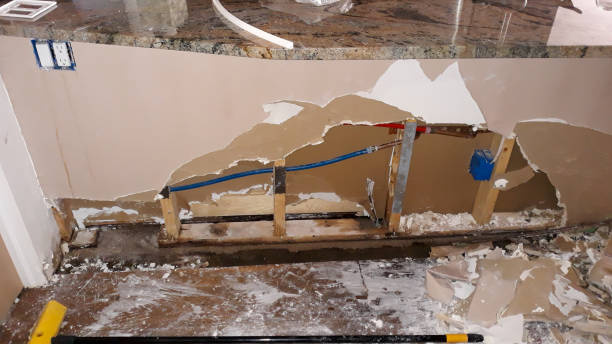Best Carpet water damage restoration  in Guthrie Center, IA