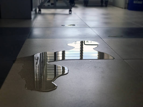 Best Water damage contractors near me  in Guthrie Center, IA