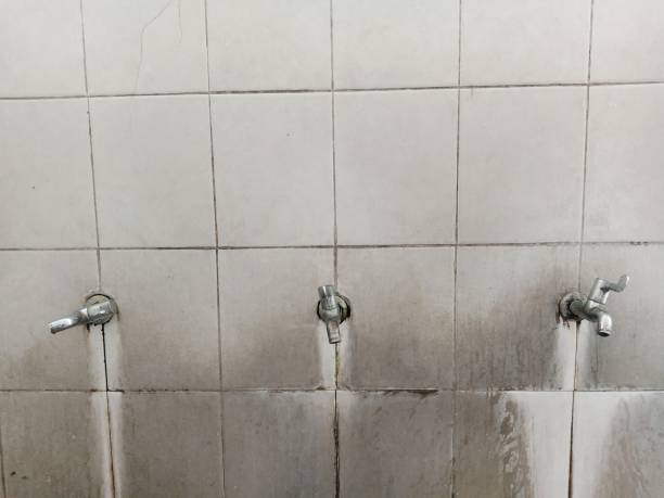 Best Residential water damage restoration  in Guthrie Center, IA