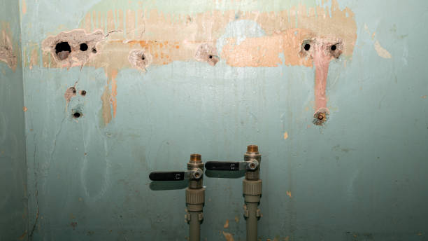 Best Commercial water damage restoration  in Guthrie Center, IA