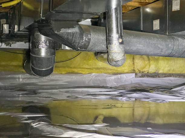 Best Flood restoration services  in Guthrie Center, IA